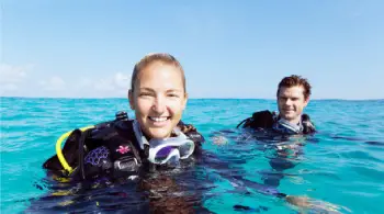 Dive Courses