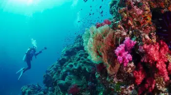Phuket Day Trips