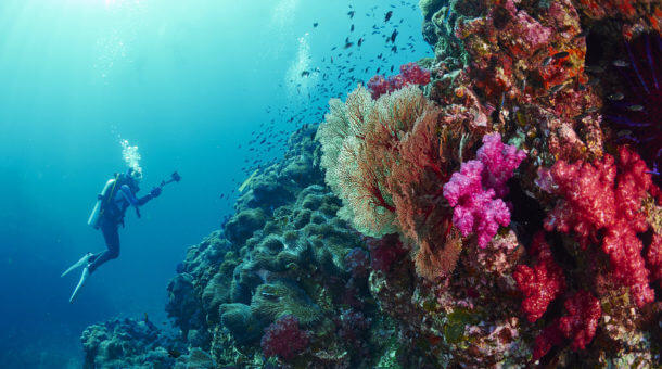 Diving in Phuket and the Similan Islands