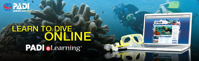 Start Now! With PADI eLearning
