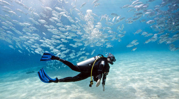 Diver in clear water with big shoal of fish