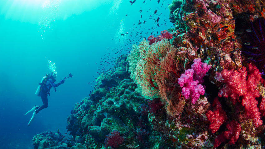 Diving at the Similan Islands