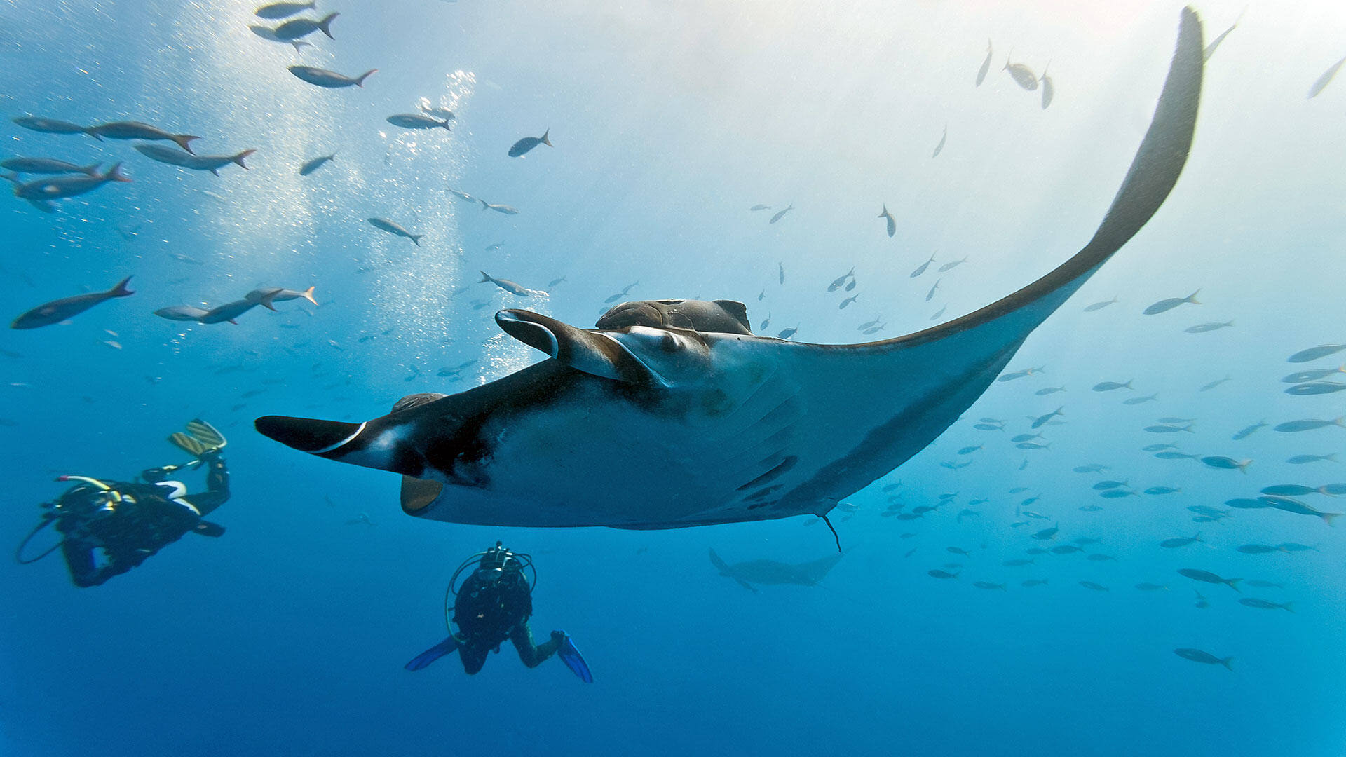 Surin Islands Dive Sites