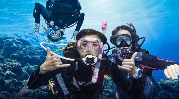 Scuba Divers Under Water