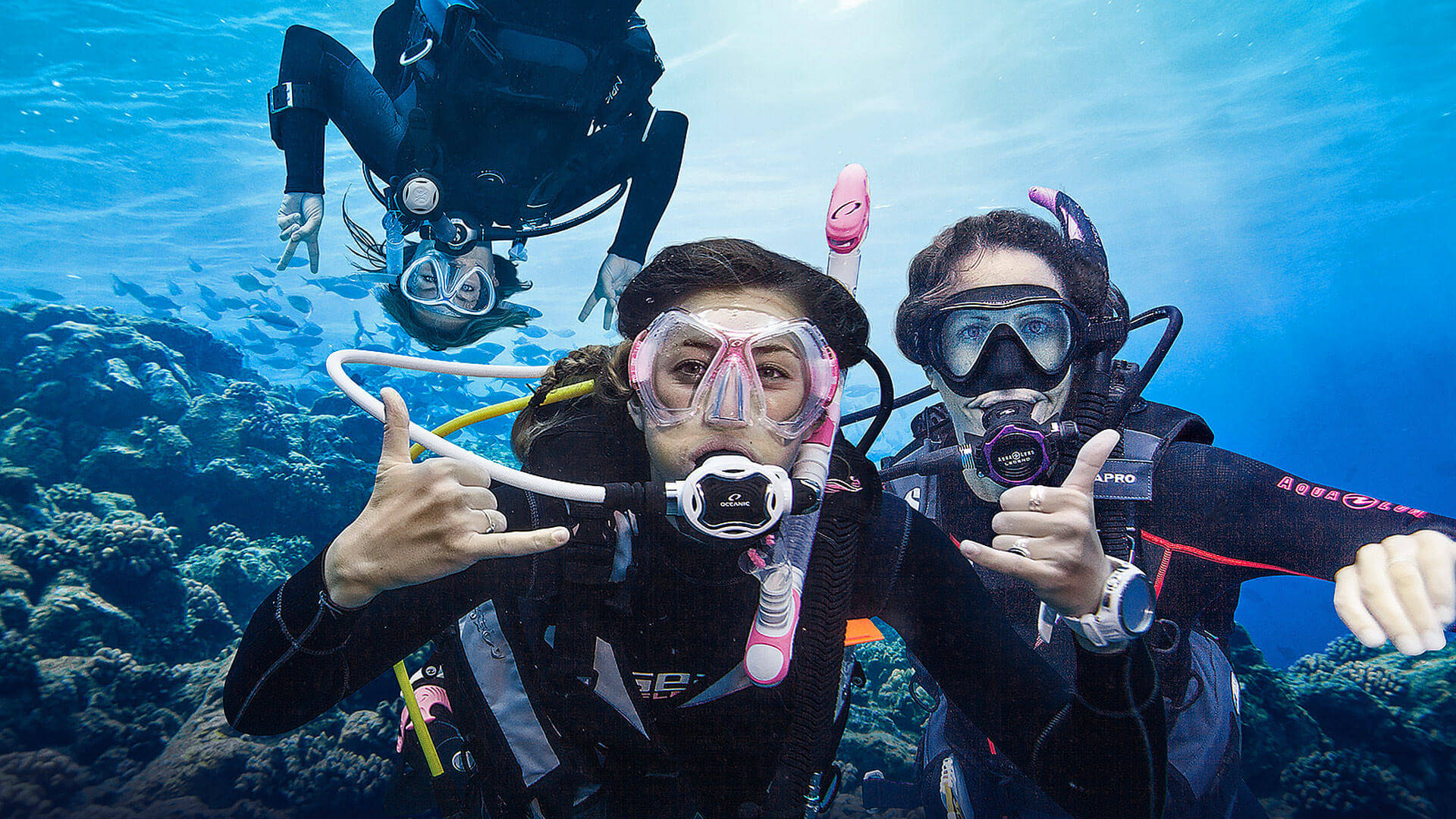 Phuket Diving TripAdvisor Reviews