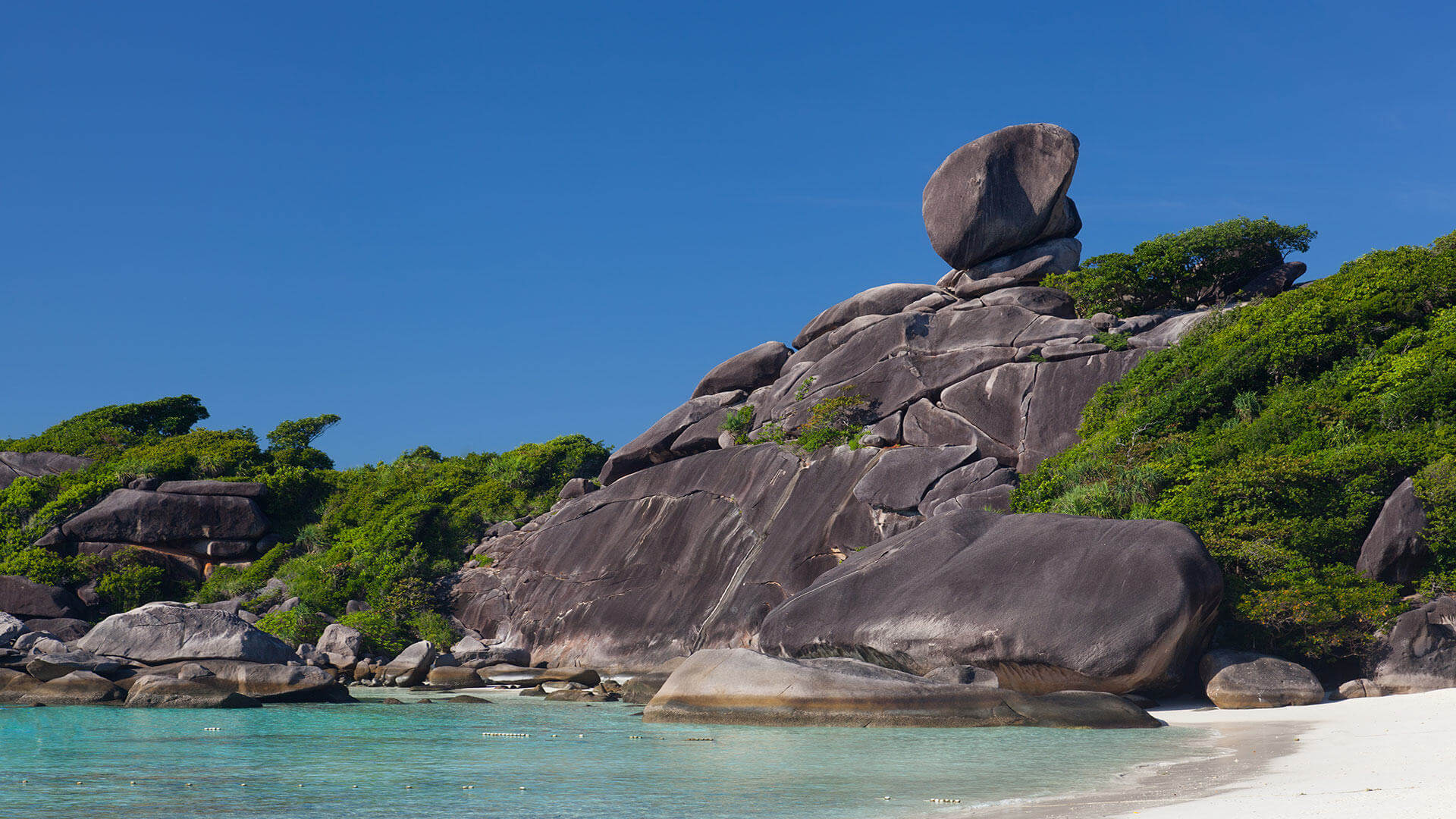 Similan Diving Day Trips