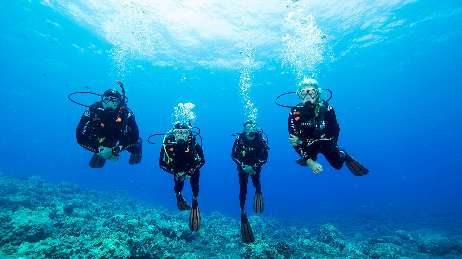 Masks & Snorkels