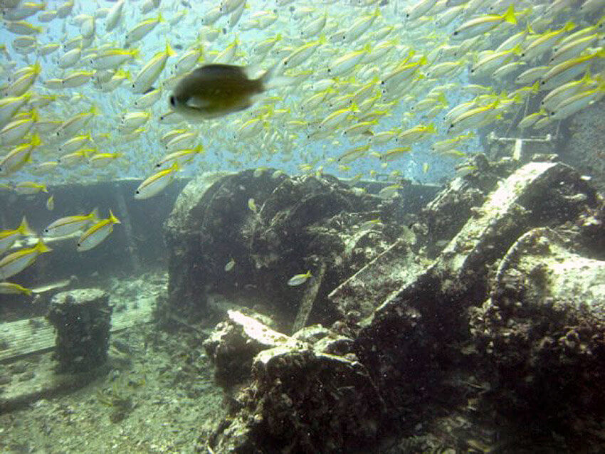 King Cruiser Wreck Dive Site near Phuket