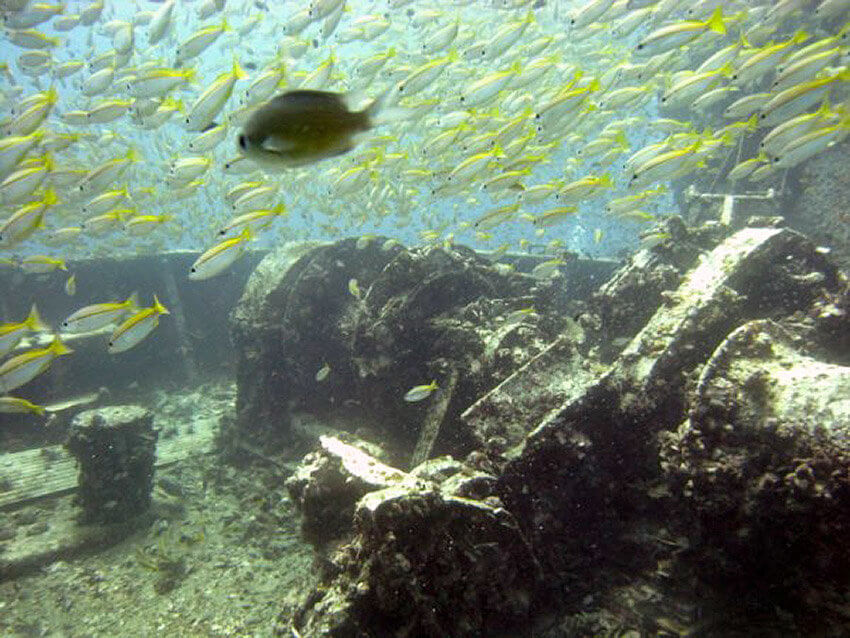 King Cruiser Wreck Dive Site near Phuket