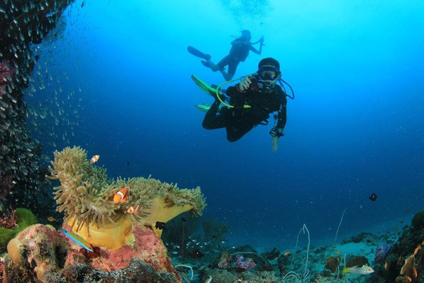Divers at the Similan Islands