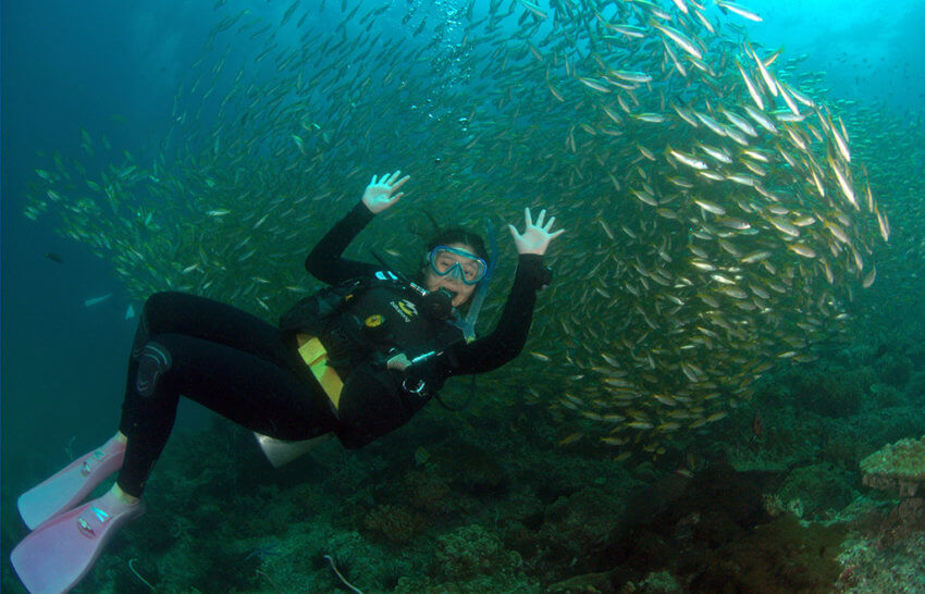 Diver and Fish at Racha Noi Island