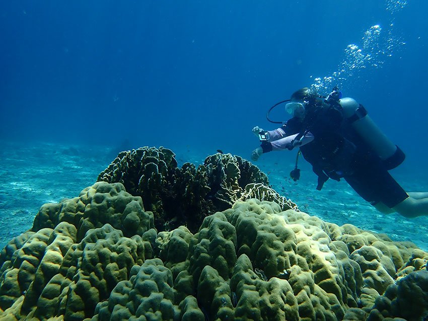 Diver at Racha Noi Island