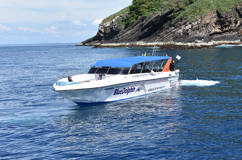 Blue Dolphin Speedboat Tours