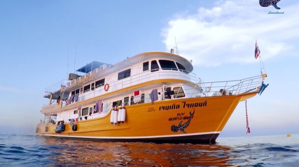 Gentle Giant Liveaboard