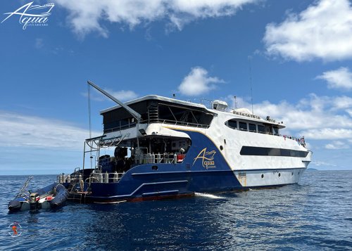 Aqua Liveaboard - Similan