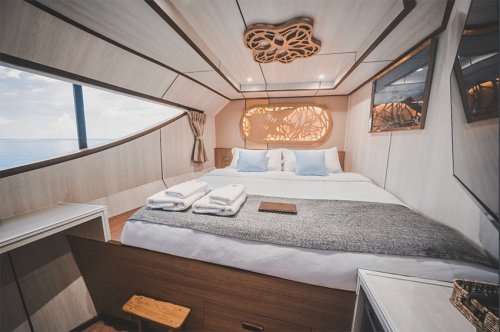 VIP Master King Size Double Cabin - Main Deck