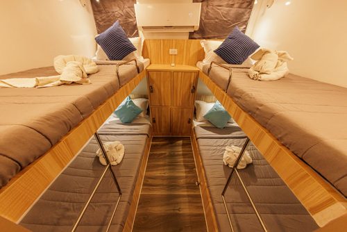 Blue Dolphin - Main Deck Quad Cabin