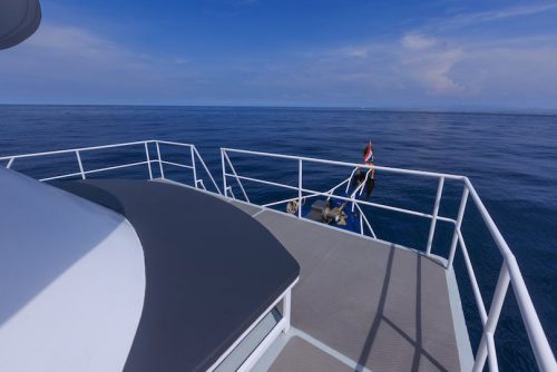 Blue Dolphin - Open Deck