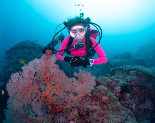 Diving in Thailand