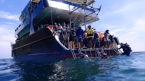 Freedom Dolphin Day Trip Boat Phuket