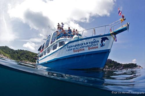 Dolphin Queen Liveaboard