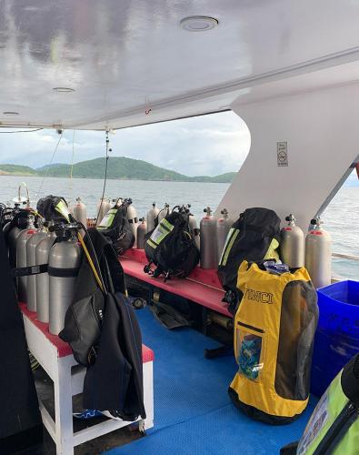 Phuket Dive Deck Freedom Dolphin