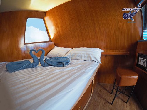 Gentle Giant - Deluxe Cabin