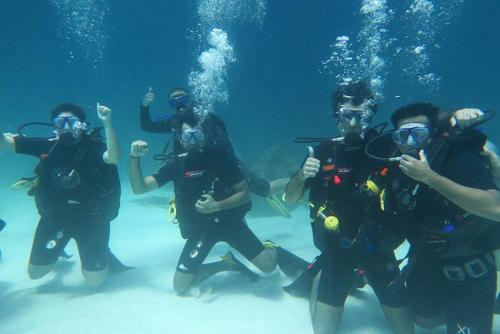 Discover Scuba Diving with Sunrise Divers Phuket