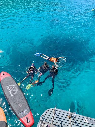 Dive Instructors Sunrise Divers